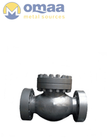 Stainless Steel 304 Forged Check Valves