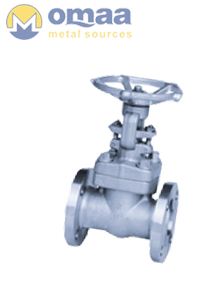 Stainless Steel 304 Forged Steel Gate Valves
