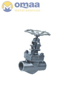 Stainless Steel 304 Forged Globe Valves