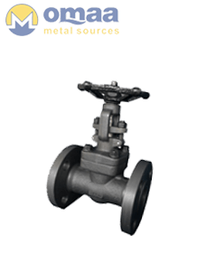 Stainless Steel 304 Flanged End Forged Valves
