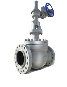 Stainless Steel Rising Stem Ball Valves