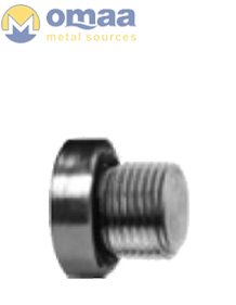 Stainless Steel Allen SAE Plug