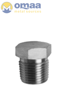 Stainless Steel Hex Pipe Plug